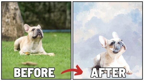 personalize French bulldog to watercolor style