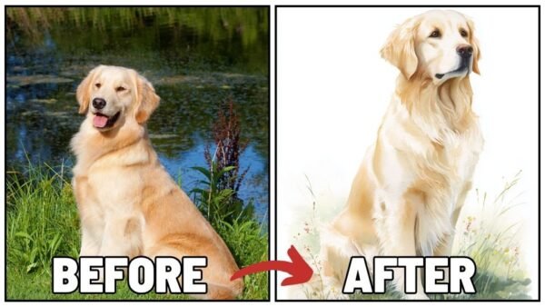 personalize golden to watercolor style